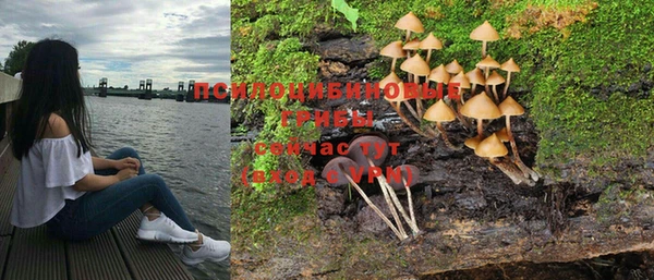 соль ск Абинск