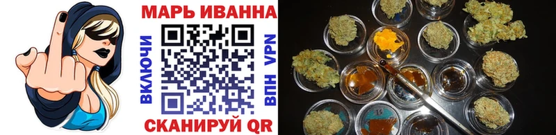 Каннабис гибрид Терек